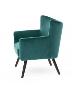 Fauteuil Wayne Velours Canard