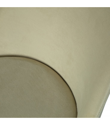 Chaise Vogue PistacheWOOOD by De Eekhoorn