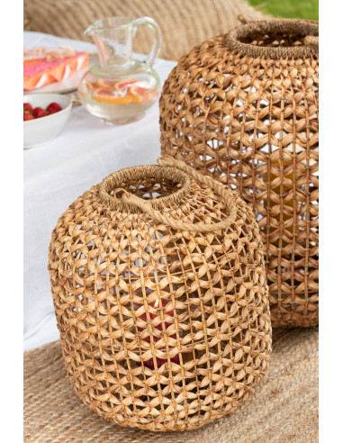 Lanterne Lena Jacinthe d'eau Naturelle Moyenne