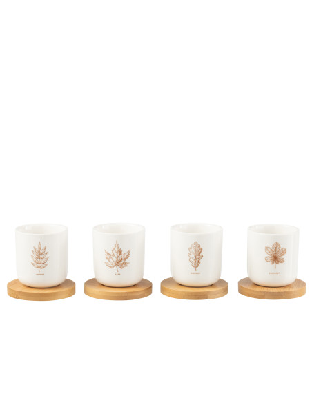 Boîte de 4 tasses à café + soucoupe en bambou Feuille Windownbox Céramique MarronJ-Line