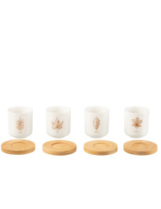 Boîte de 4 tasses à café + soucoupe en bambou Feuille Windownbox Céramique MarronJ-Line 2