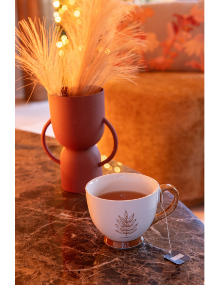 Boîte de 2 grands mugs feuille Windownbox en céramique marron assortiment de 2J-Line Boîte de 2 grands mugs feuille Windownbox en céramique marron assortiment de 2J-Line