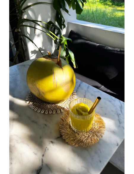 Le Sous-Verre Fringe Raffia