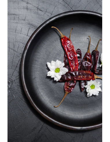 La plaque classique brûlée - Noir - MBazar BizarJAES009B-M