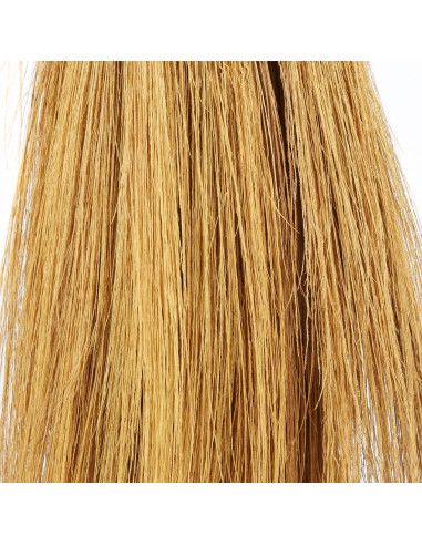 Le bois de rayung sur supportBazar Bizar