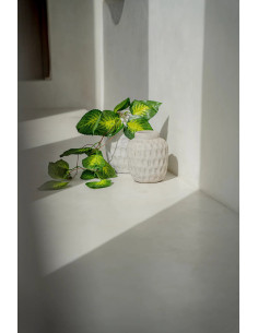 Vase Trendy - béton - M 2
