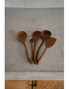 La Cuillère Teak Root - M 2