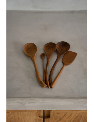 La Cuillère Teak Root - M