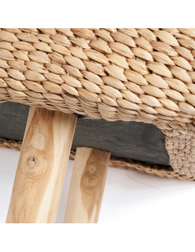 Le banc de jacinthe d'eau