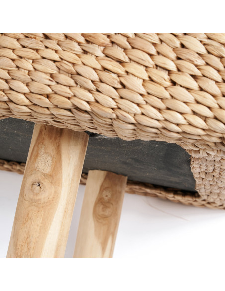 Le banc de jacinthe d'eau