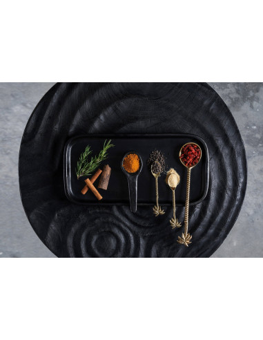 La plaque à tapas brûléeBazar BizarJAES033B