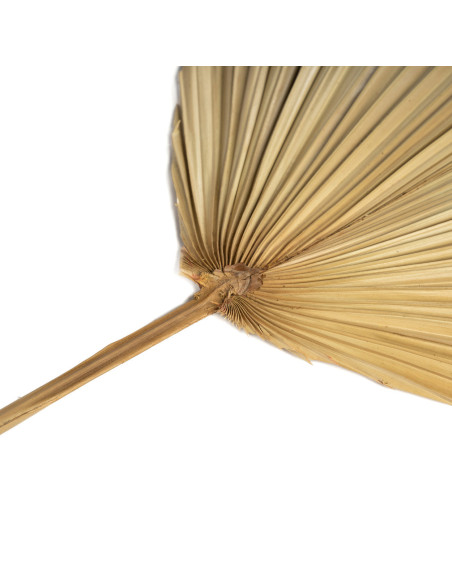 La feuille de Rayung - NaturelBazar Bizar11,90 €