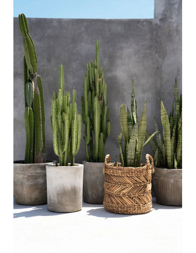 Le panier à bananes en zigzag - M