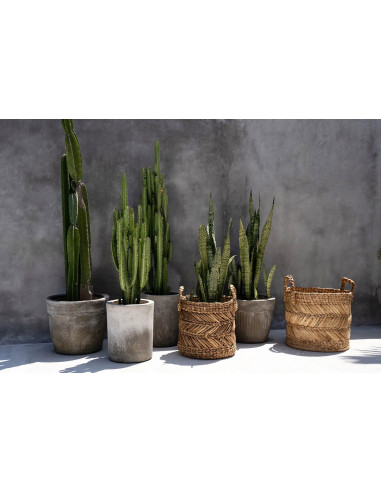 Le panier à bananes en zigzag - L