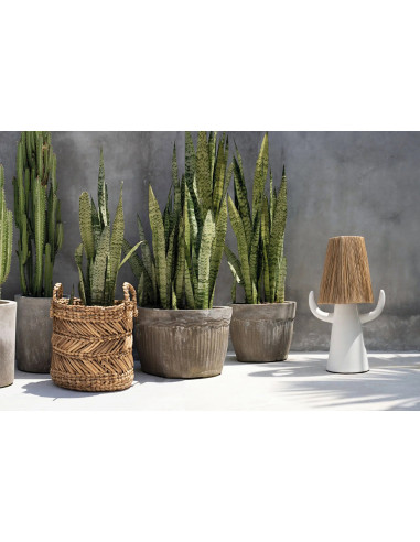 Le panier à bananes en zigzag - M