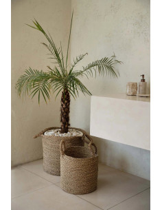 Panier Sensity - Naturel - XL 2