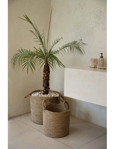 Panier Sensity - Naturel - XL