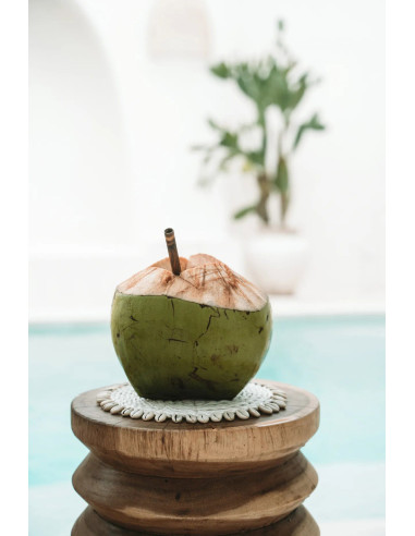 Dessous de plat Jonc de mer et coquillage  - Blanc