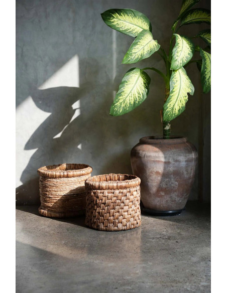 Le Panier Choppy Le Panier Choppy